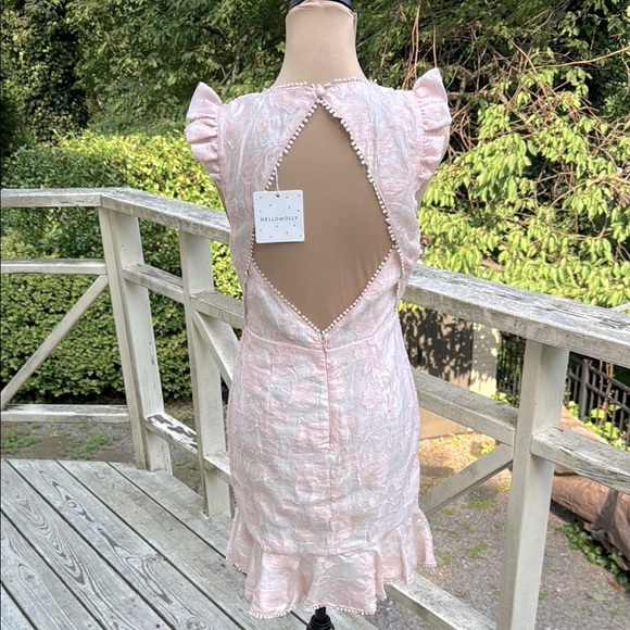Hello Molly Keep Your Dreams Blush Jacobean Embellished Mini Dress US Size 6 NWT - Picture 9 of 15